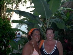 PF2006055