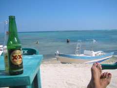 IMG_6234.JPG