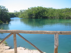 IMG_6237.JPG