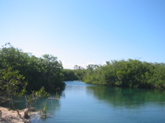 IMG_6238.JPG